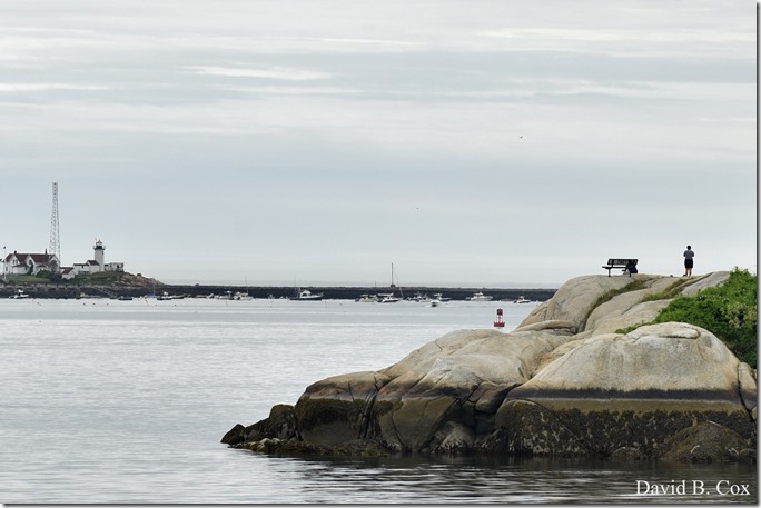 2020 6 9 Walks Blvd 030