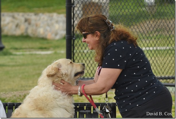 2020 6 9 Walks Blvd 042