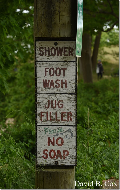 2020 6 9 Walks Blvd 046