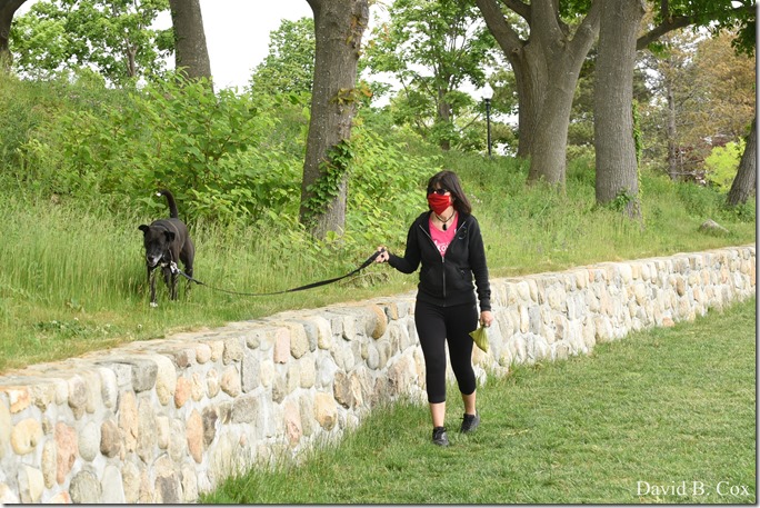 2020 6 9 Walks Blvd 058