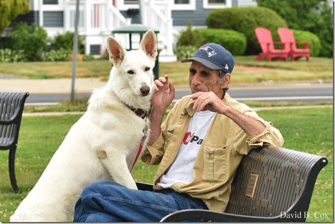 2020 6 9 Walks Blvd 065