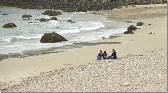 2020 6 9 Walks Blvd 078