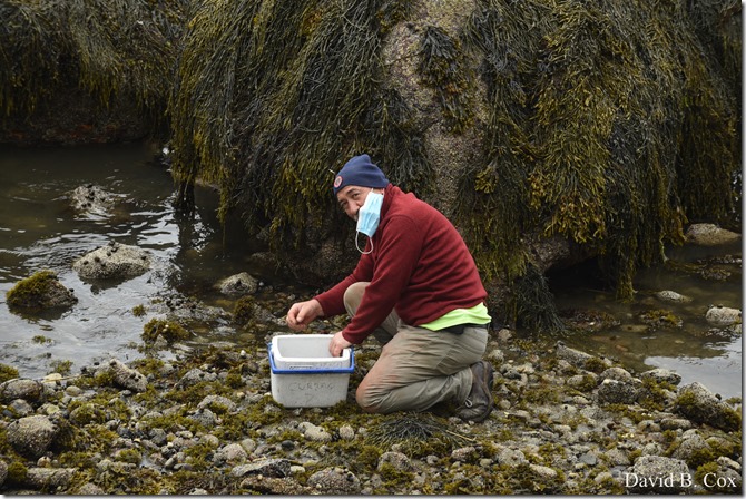 2020 6 9 Walks Blvd 083