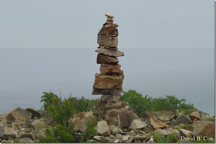 2020 6 9 Walks Blvd 095