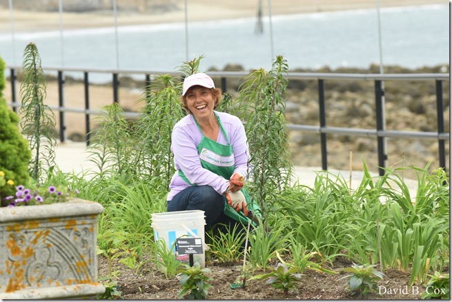 2020 6 9 Walks Blvd 096