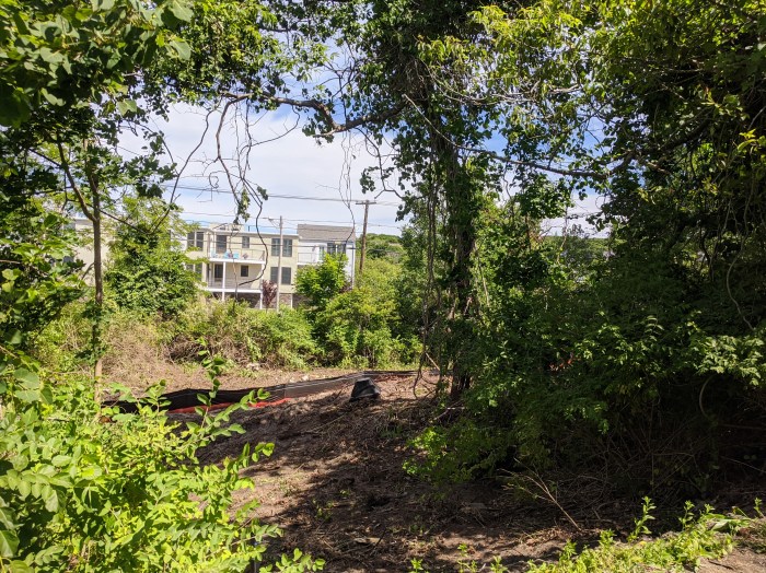 Clearing and surveying 41 & 43 Cliff Road view from Thatcher Road 