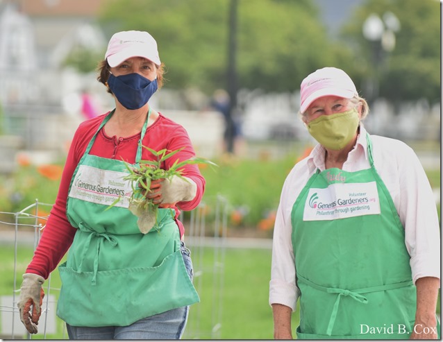 2020 7 3 Walk Blvd 006