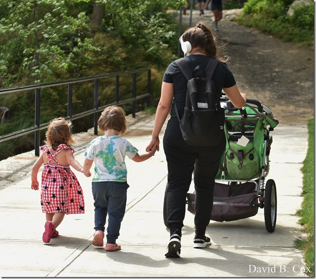 2020 7 3 Walk Blvd 024