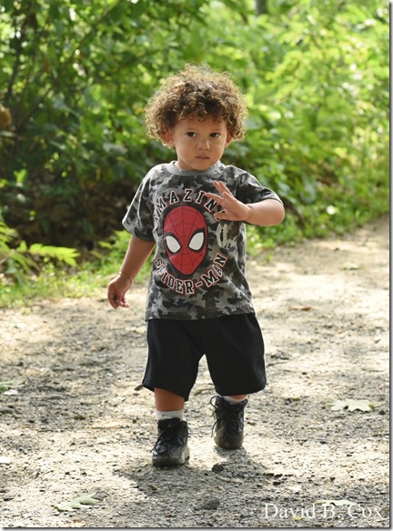 2020 7 3 Walk Blvd 027