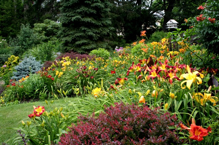 DISTINCTIVE GARDEN DESIGNS 7 13 .jpeg