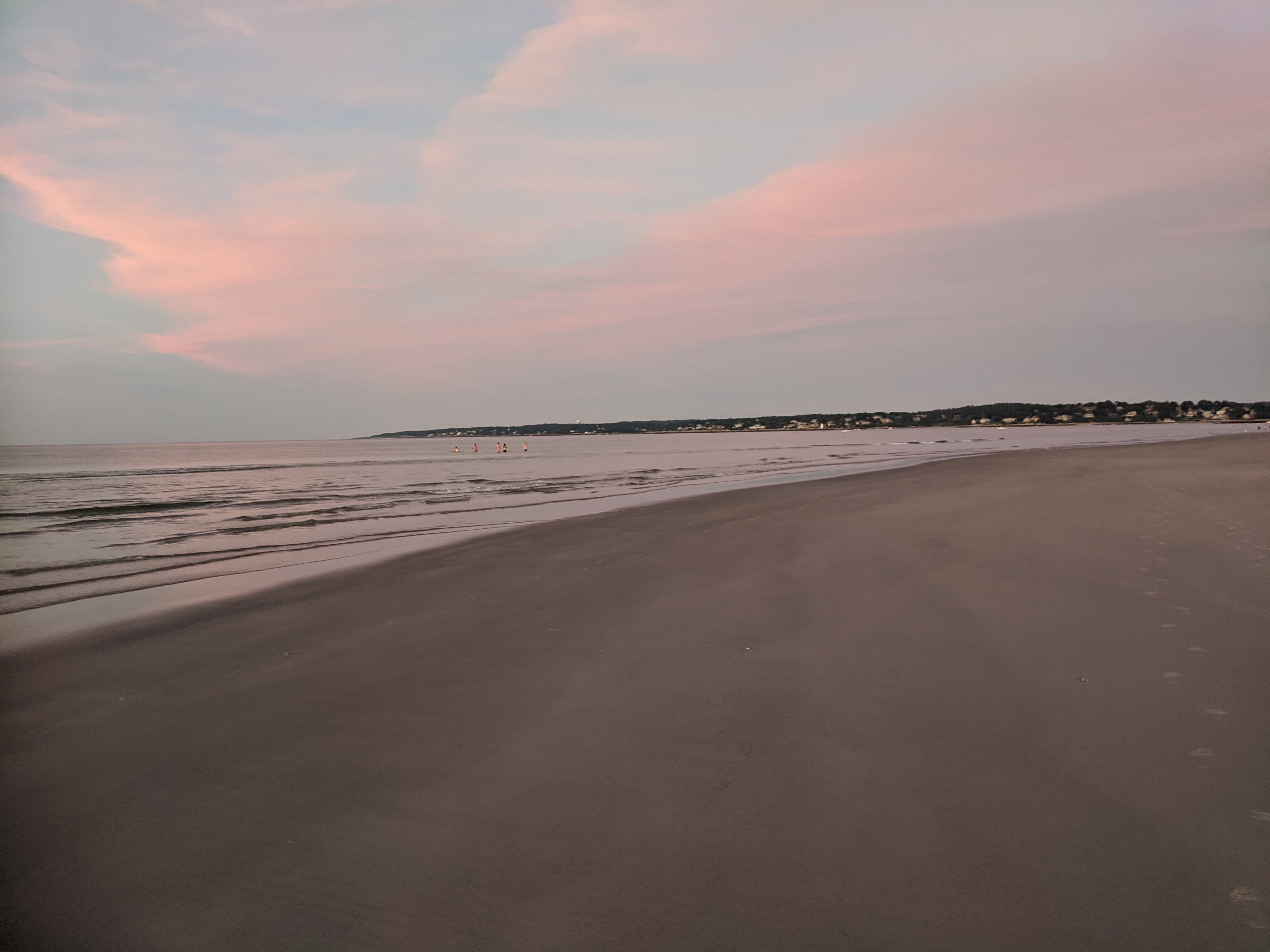figures in the sea_pinks_Gloucester Mass_20200724_thinking about Homer © c ryan