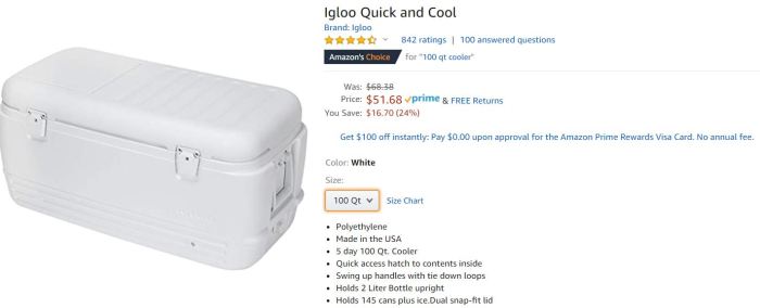 igloo100