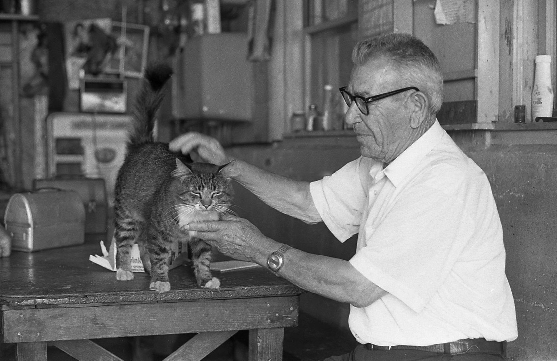 man with cat and lunch box.JPG