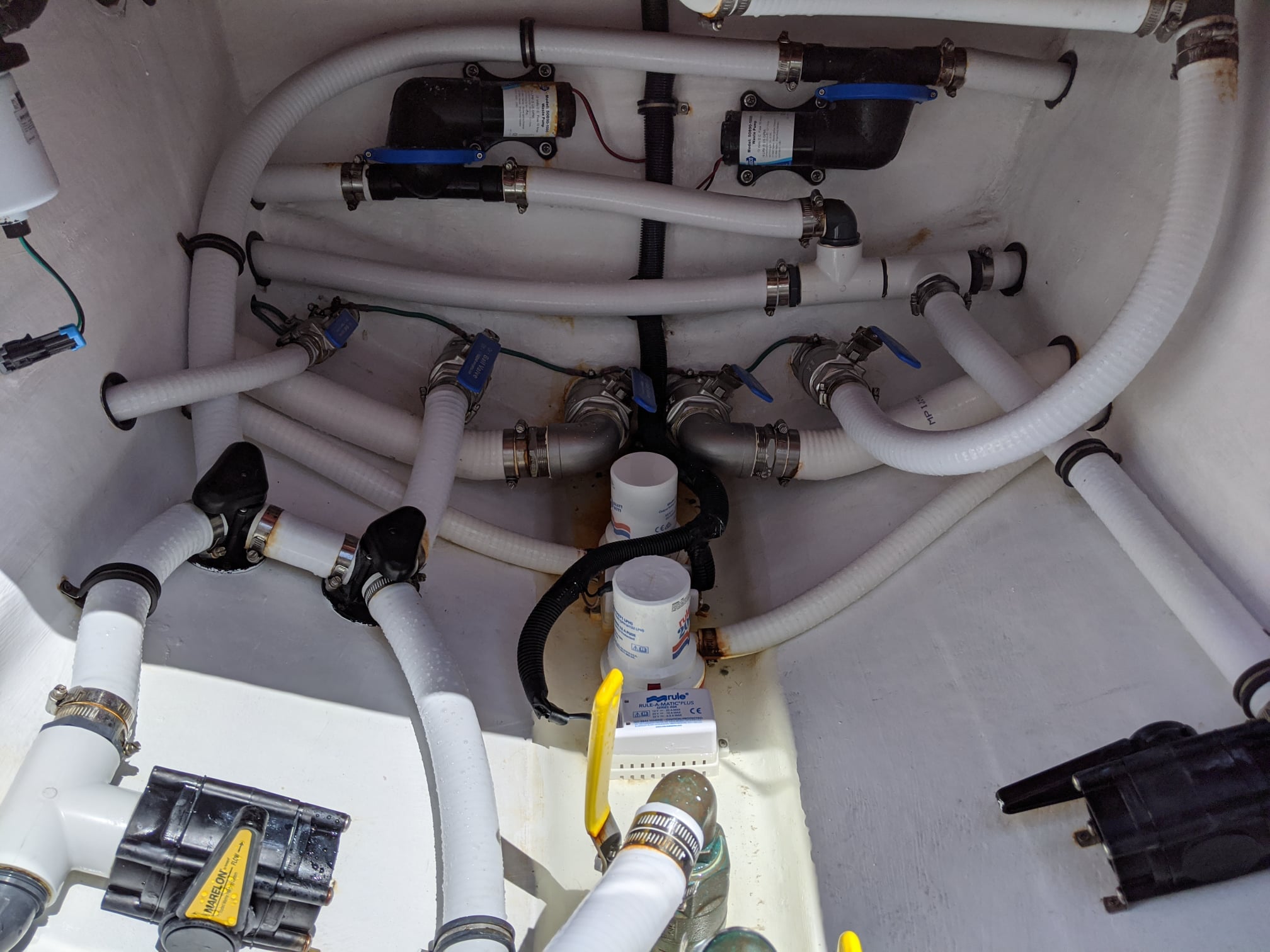 116222069_3311317002258364_780524514809317279_o