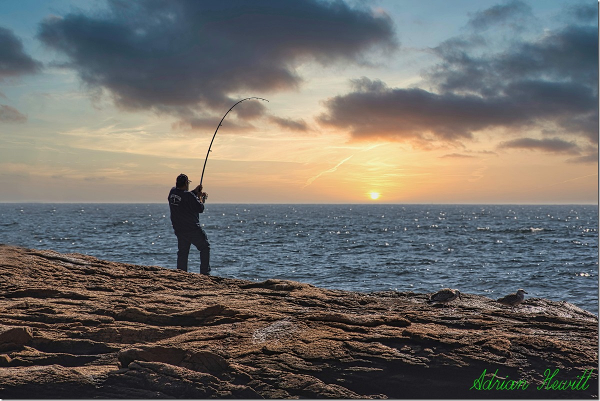 Bass Fishing at sun rise