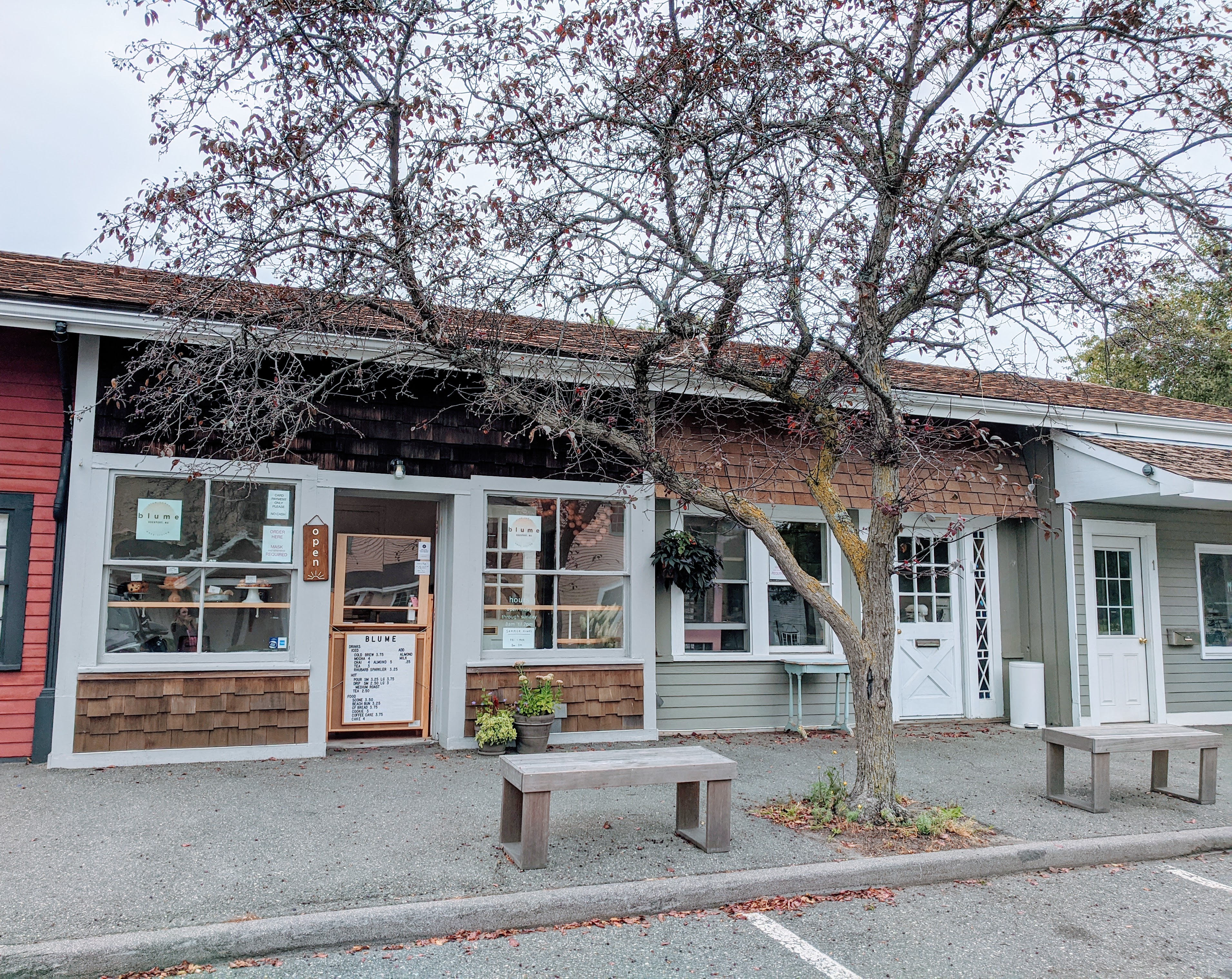 BLUME coffee and bakery _Rockport Ma_Covid-19 reopening design-20200815_©c ryan (1)