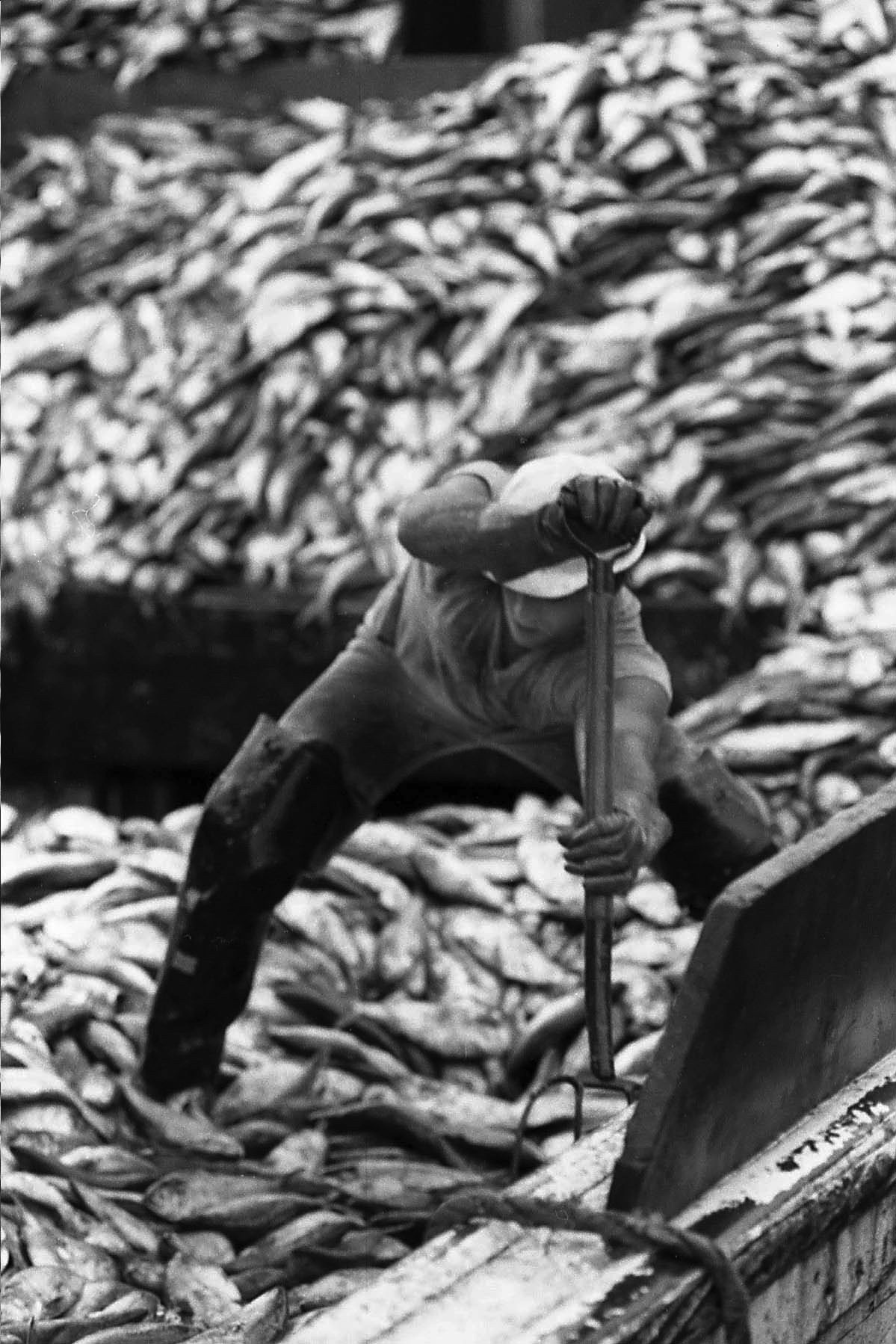 Image 8-5-20 at 9.28 AM.jpg