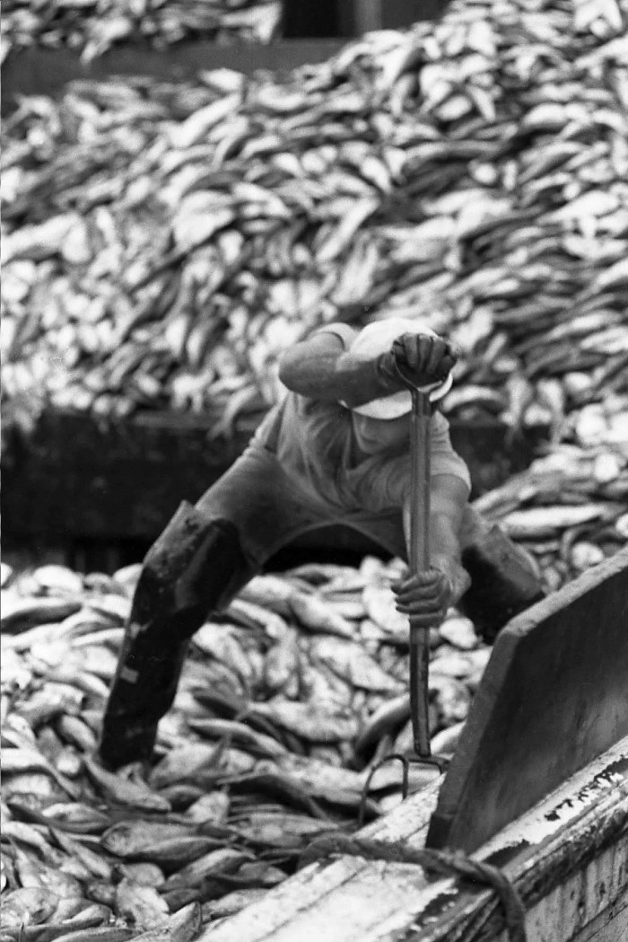 Image 8-5-20 at 9.28 AM.jpg