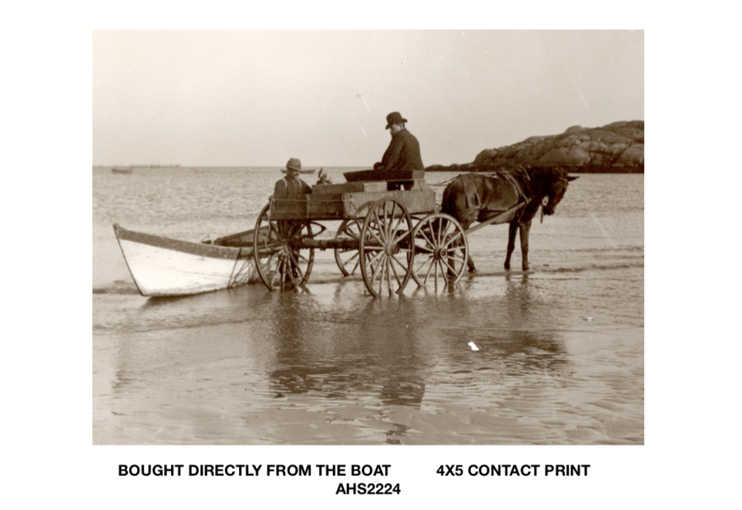 Screen Shot 2020-08-23 at 10.58.48 PM