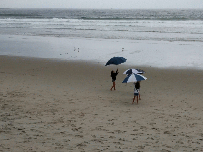 umbrella joy -Long beach gif-20200816__©c ryan