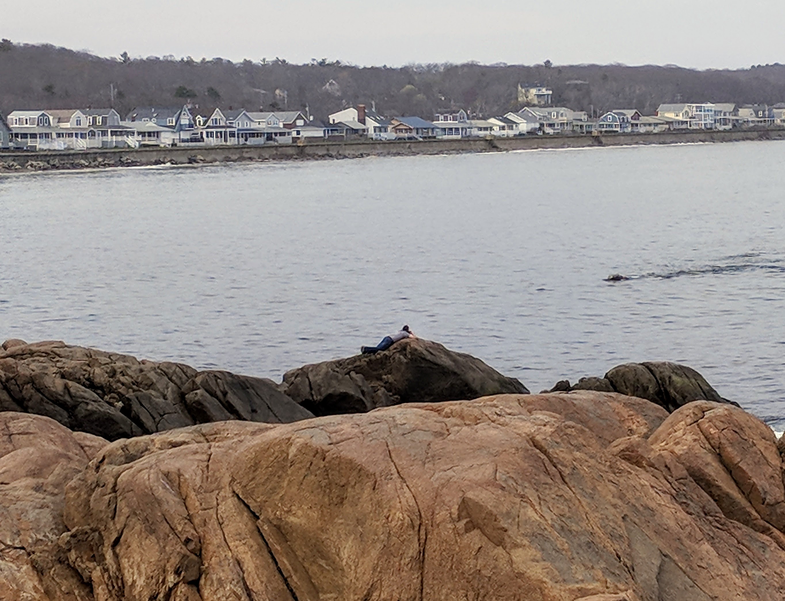 Senator Bruce Tarr, lobster fishery, right whales, patrol boats,