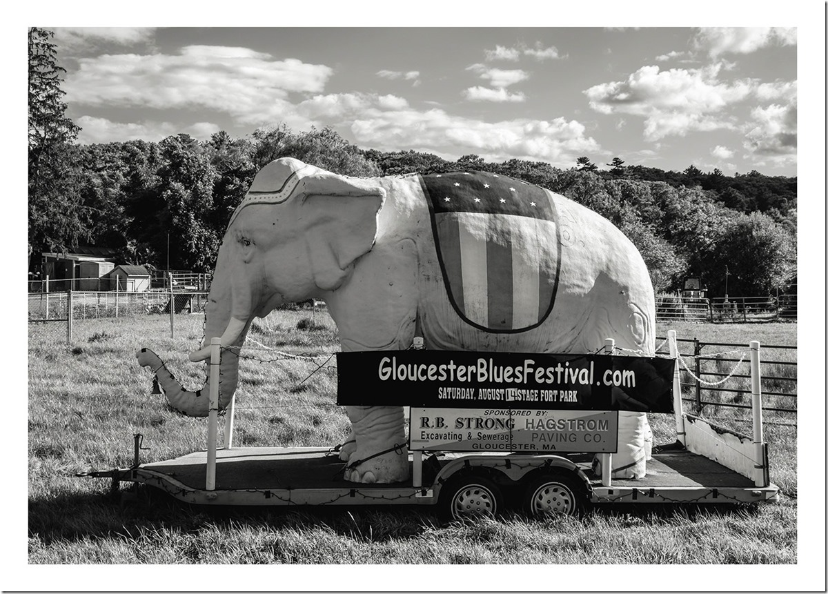 Gloucester Blues Festival Sign
