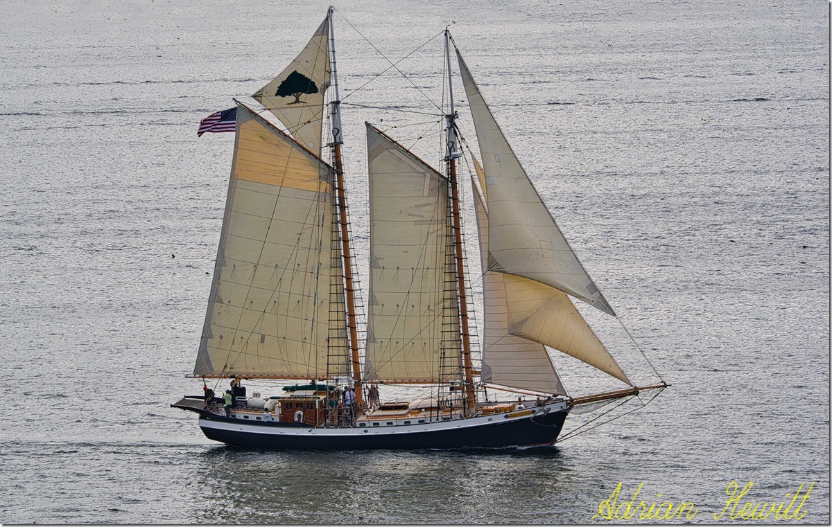 schooner F