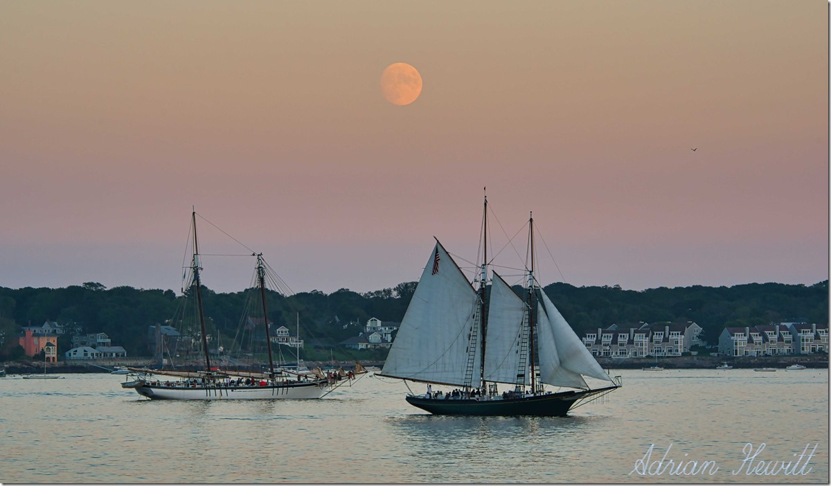 Schooner Moon