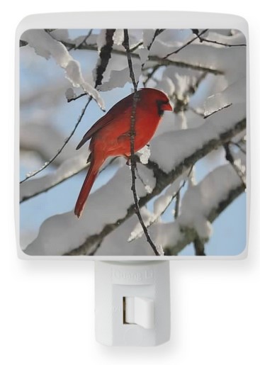 Cardinal in Snow Night Light