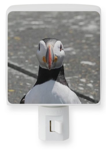 Puffin Night Light