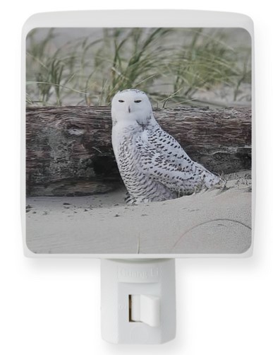 Sandy Point Snowy Night Light