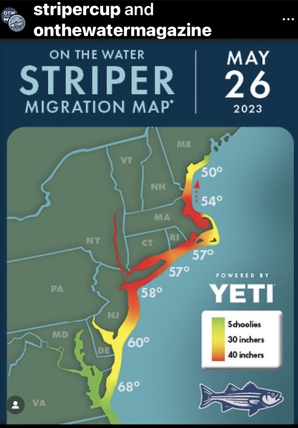 Stripers Are Here Thick! Get To Three Lanterns Marine Supply Store At 7