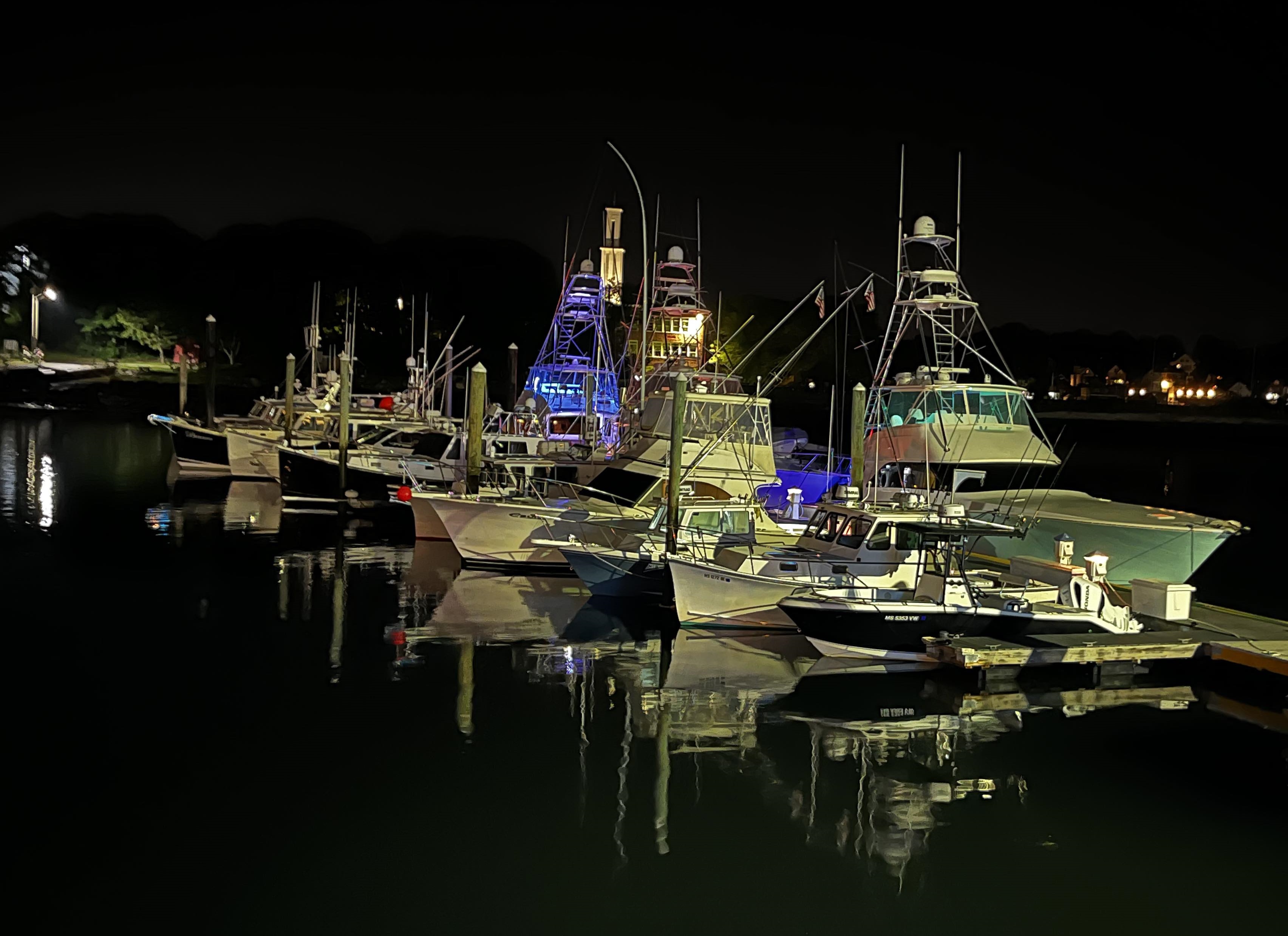 Marina Night Lights
