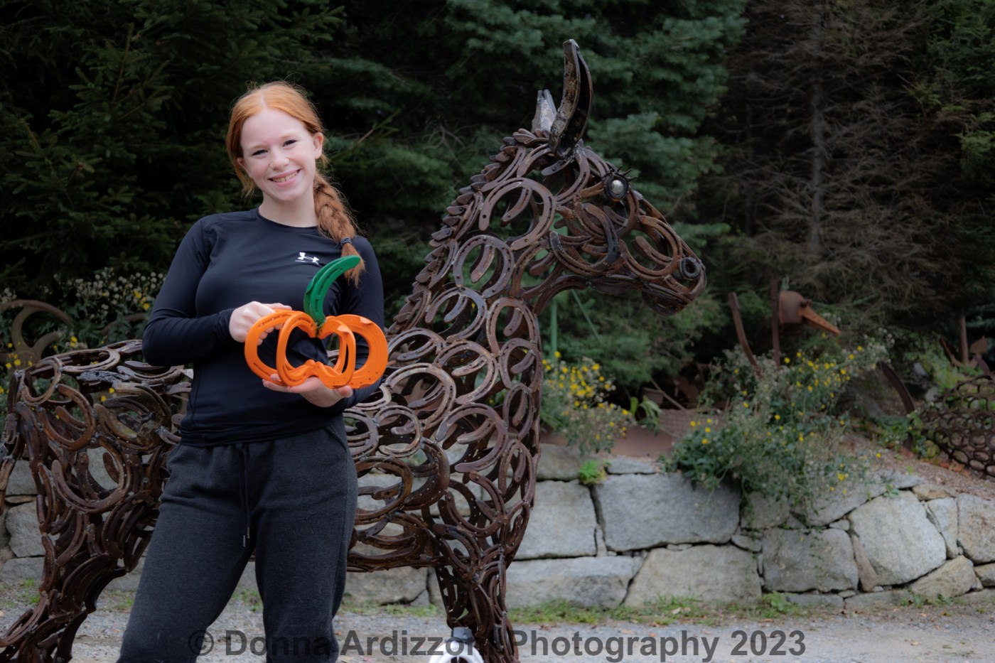 Sculptures from Horseshoes Good Morning Gloucester