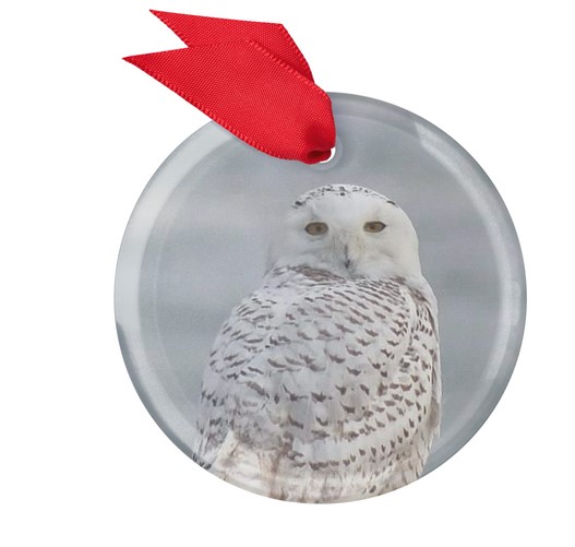 Back Shore Snowy suncatcher round