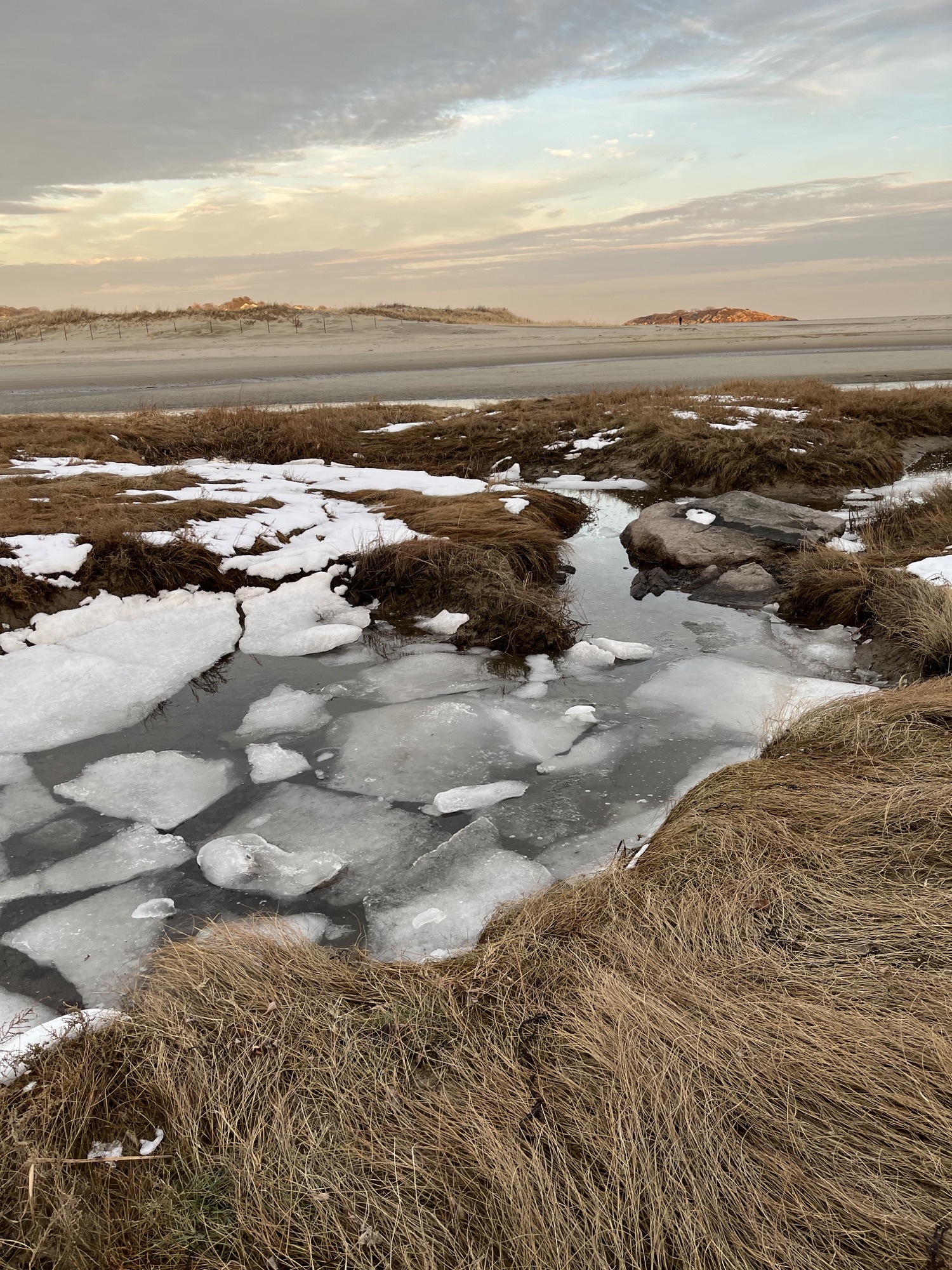 Ice and Snow In The Marsh – Good Morning Gloucester