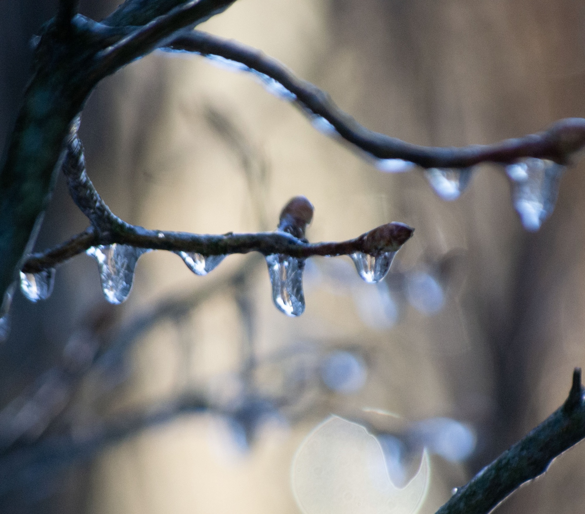 Spring Thaw - Good Morning Gloucester