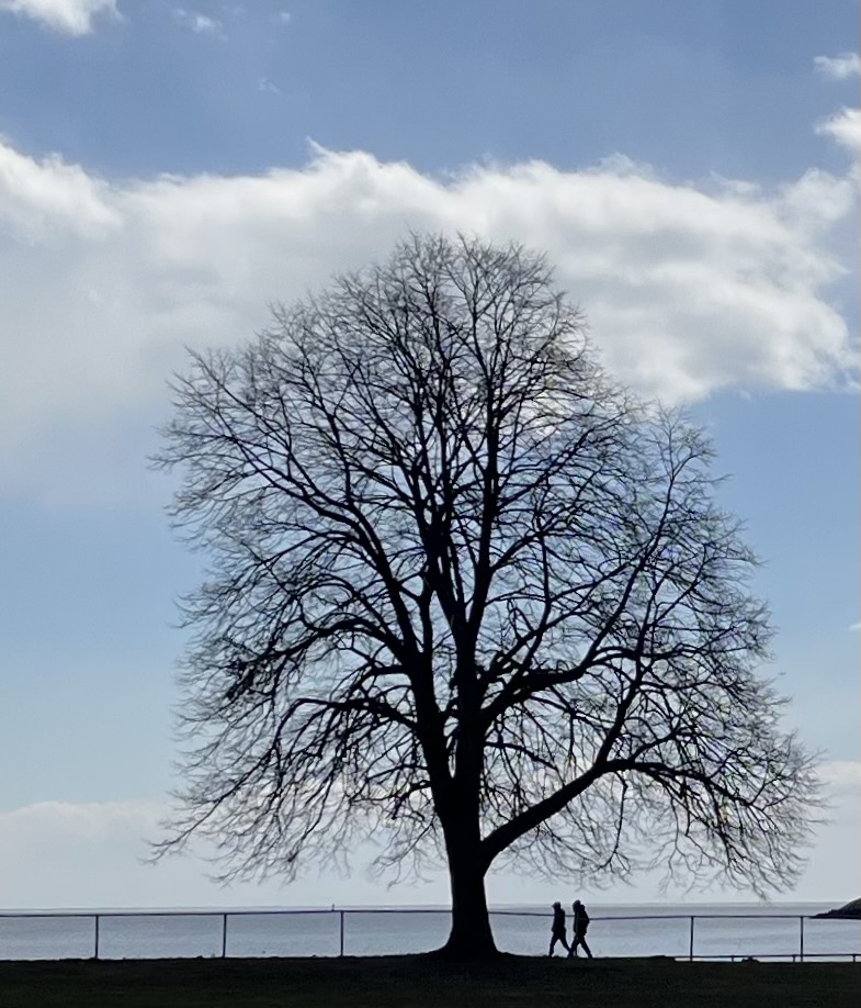 Walking on a chilly spring day – Good Morning Gloucester