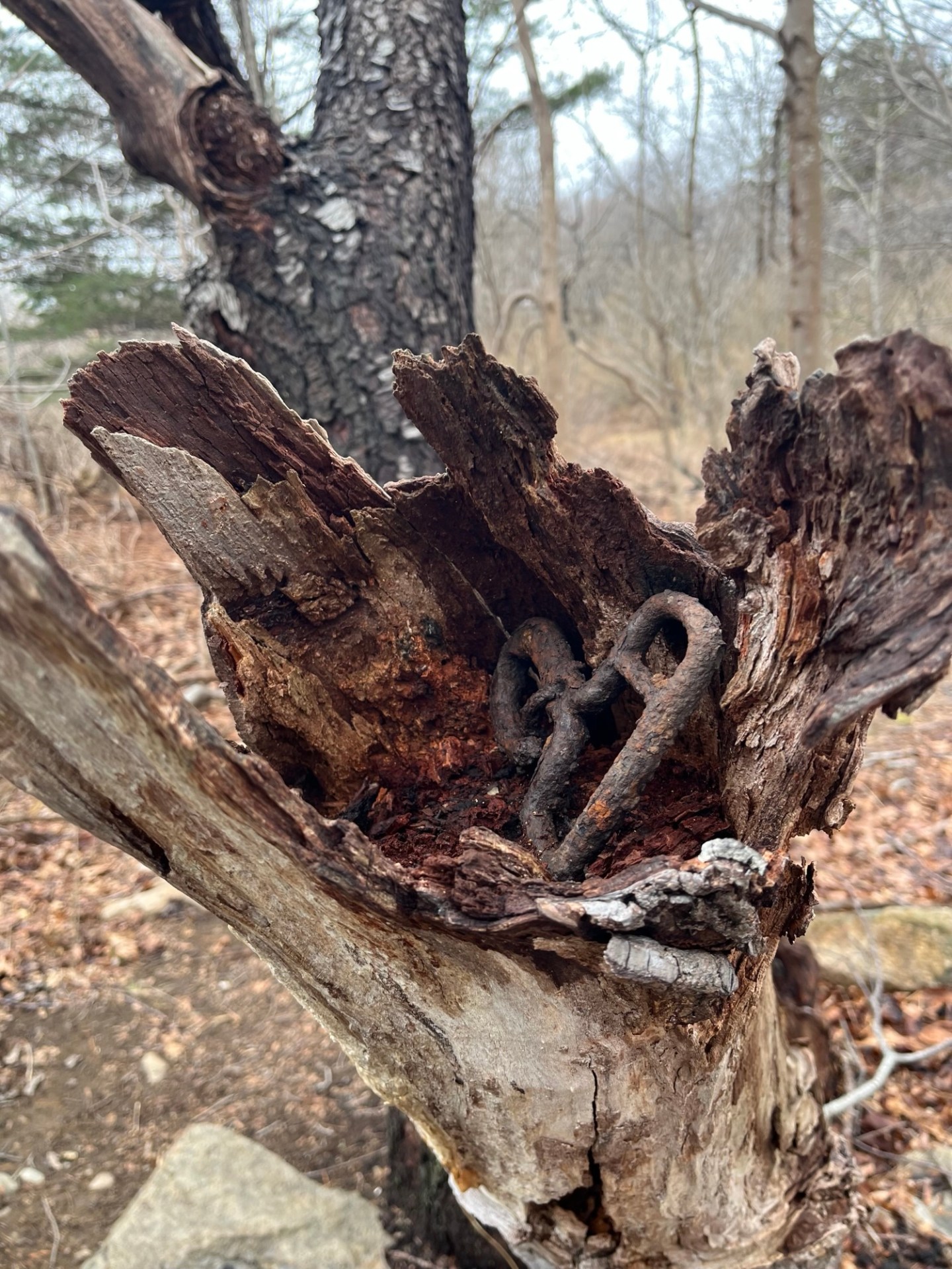 Rusted in place – Good Morning Gloucester