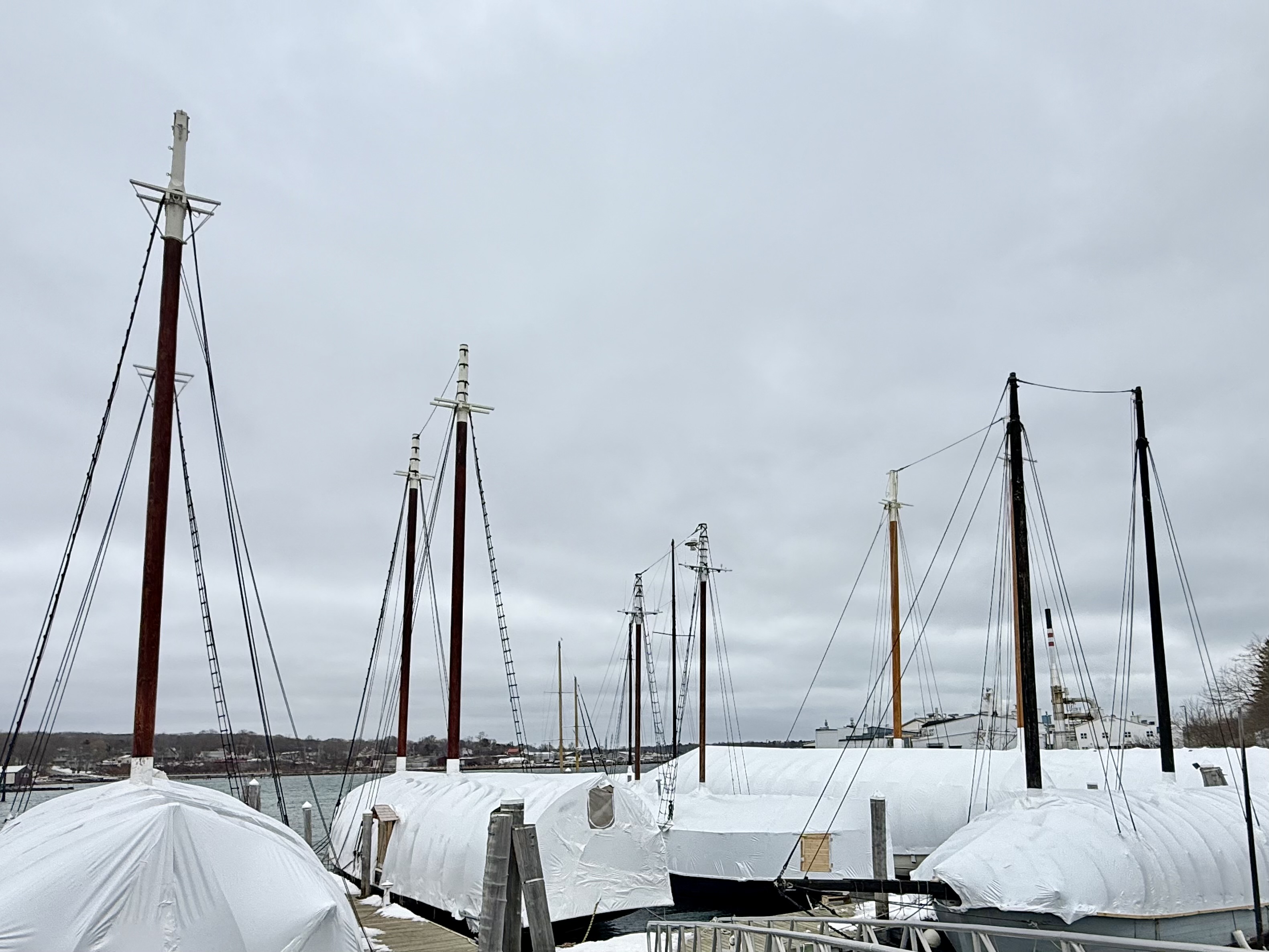Maine Moments - Good Morning Gloucester