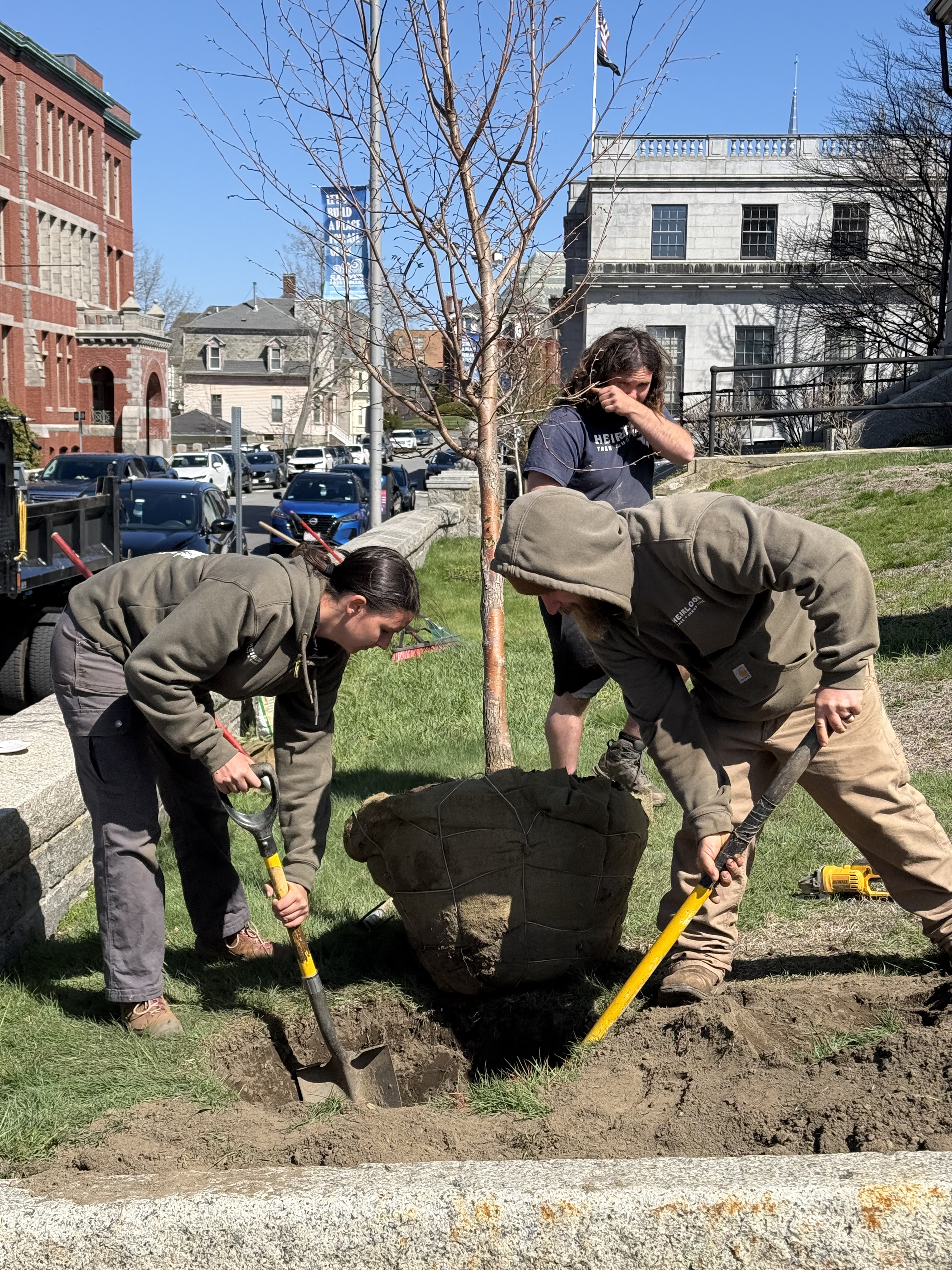 Tree Planting Week City Launches “400 Trees Gloucester Cooling Corridors” Initiative with ...