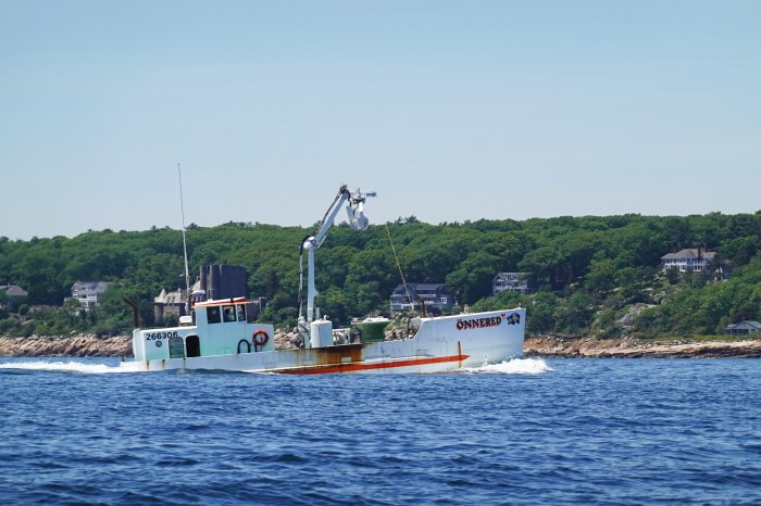 Summer Sampler — pat morss – Good Morning Gloucester