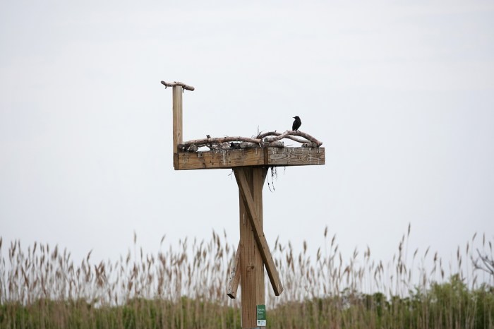 Summer Sampler — pat morss – Good Morning Gloucester