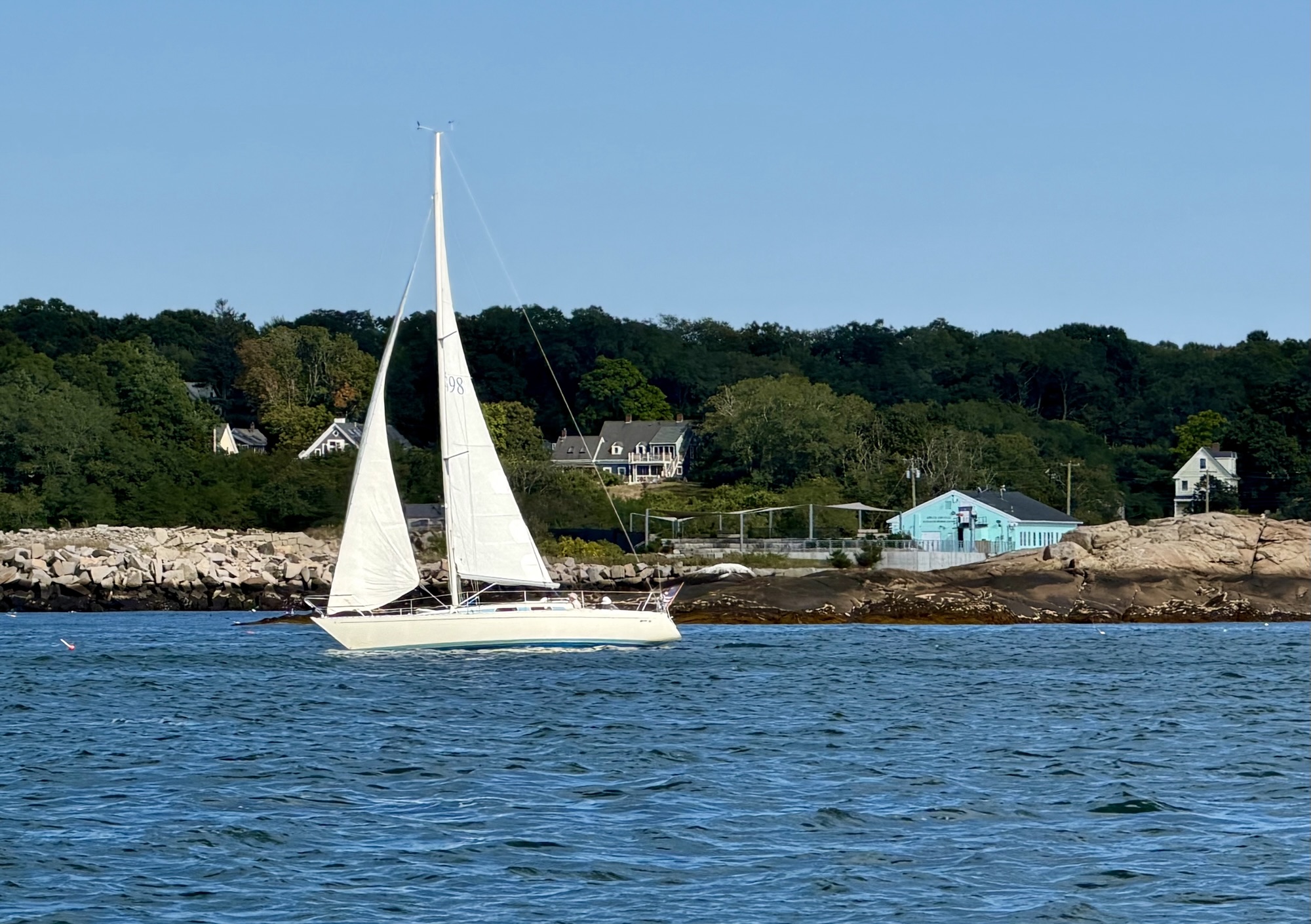 Sloop Definition A Sloop Swoops by the Marine Station – Good Morning Gloucester